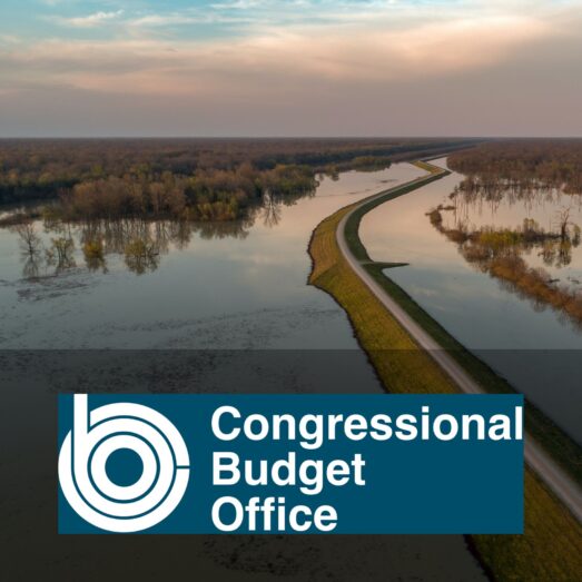 Congressional budget office report - thumbnail - Floodplain